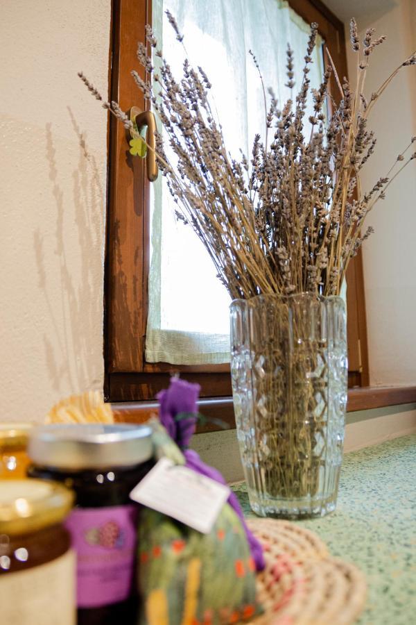 B&B Casa Del Pietro Pieve San Giovanni Eksteriør billede