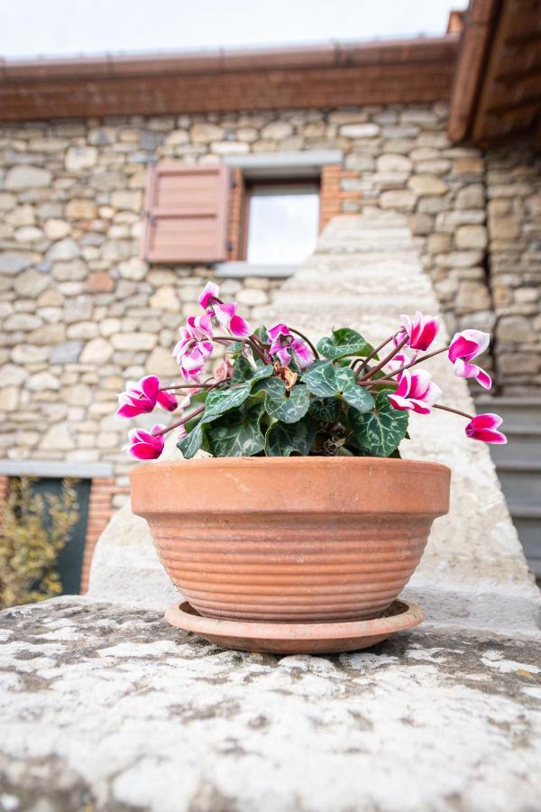 B&B Casa Del Pietro Pieve San Giovanni Eksteriør billede